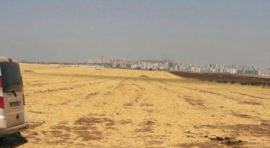 12 kardeşin 10 bin dönümlük arazi savaşı! Bu yolda 4 kişi cinayet kurbanı oldu