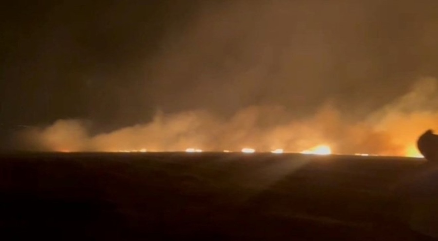 Buğday tarlasında yangın: 300 dönüm kül oldu
