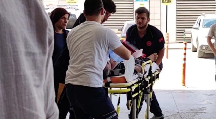 Bursa'da arı sokması sonucu adam hayatını kaybetti