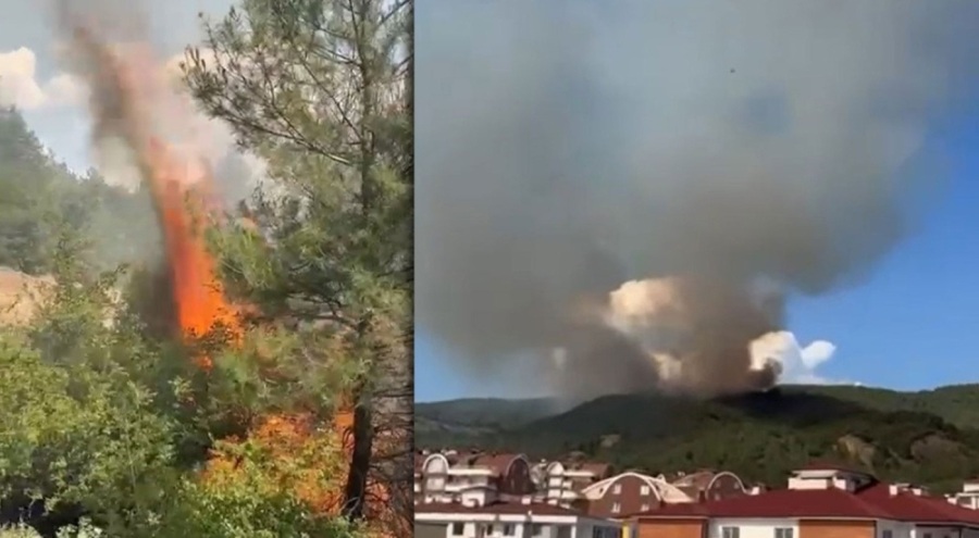 Tokat'ta orman yangını