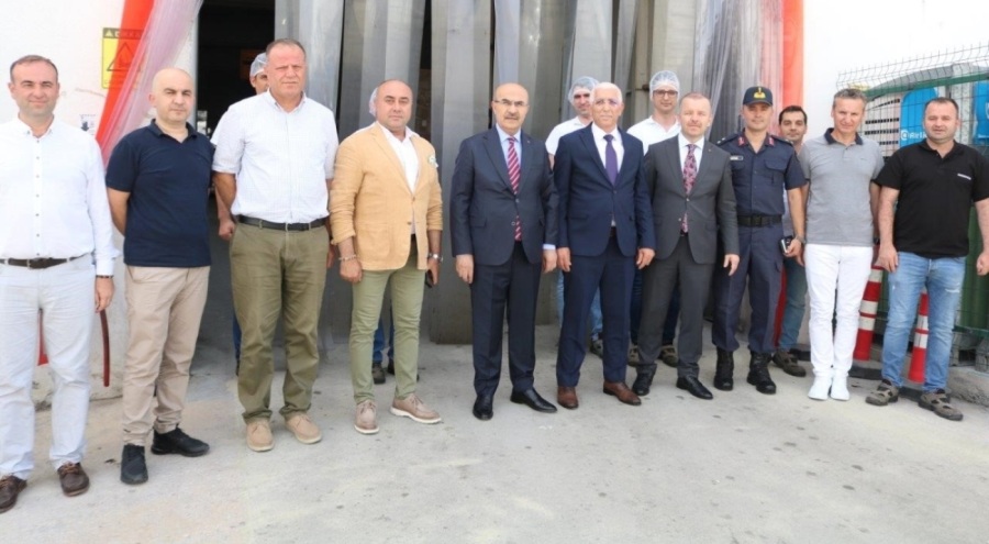 Bursa Valisi Mahmut Demirtaş: "Marmarabirlik zeytin üreticisinin can simidi"