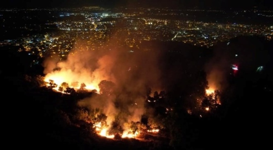 Tire'de evdeki yangın zeytinlik alana sıçradı: Beş dönüm zarar gördü