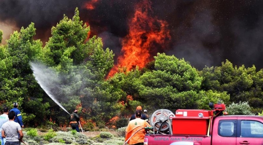 Yunanistan'da orman yangını