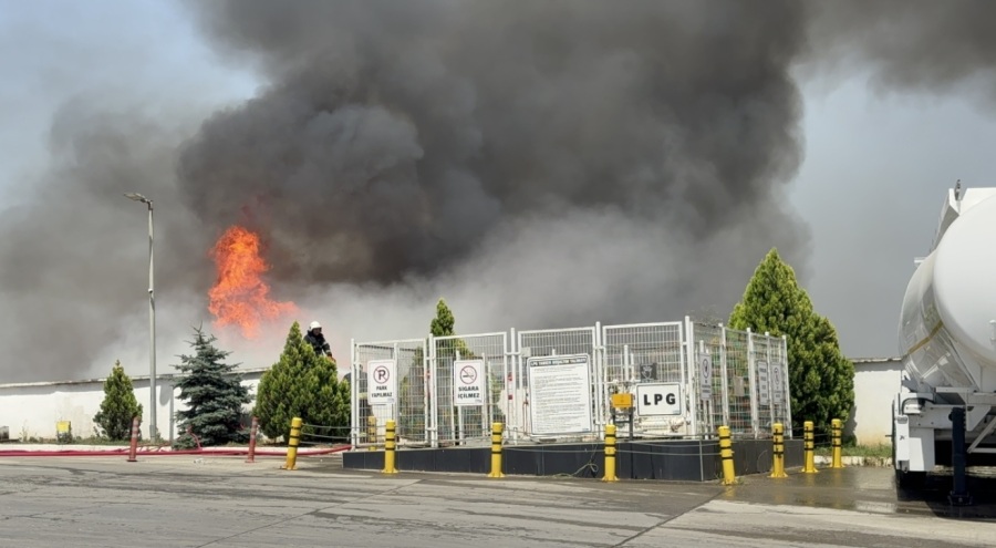 Kocaeli'de palet fabrikasında korkutan yangın