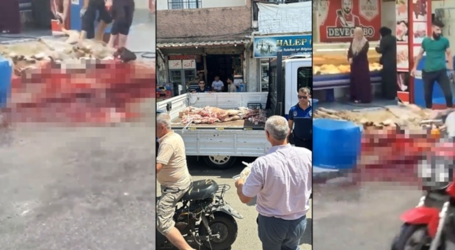 Ekipler durdurdu! Kurban Bayramı öncesi sokak ortasında hayvan kesimi