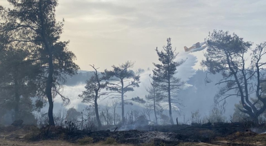Çanakkale'deki orman yangını 8 saat sonra kontrol altına alındı