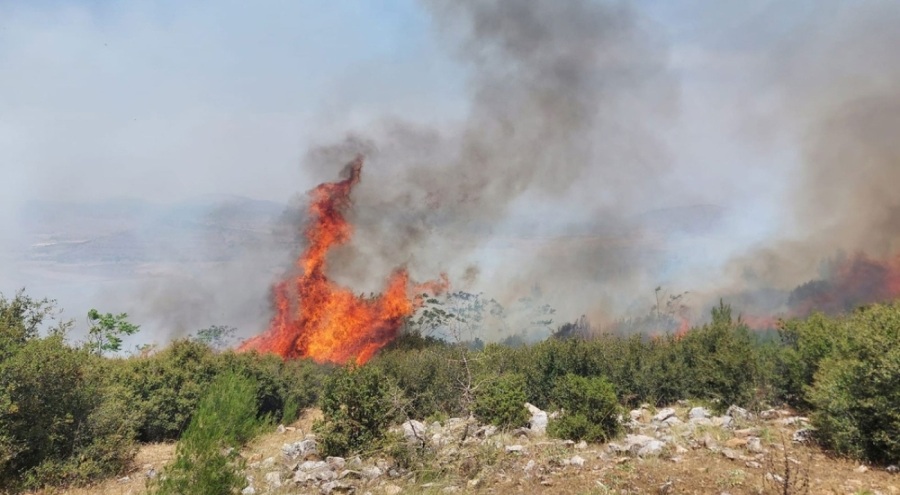 Manisa Kula'da orman yangını
