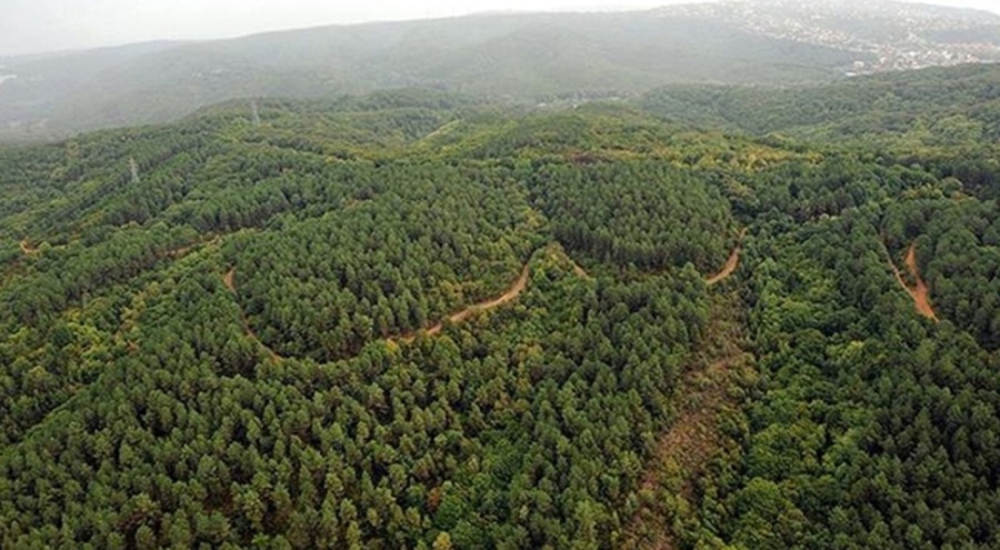Gaziantep'te ormana girişler yasaklandı