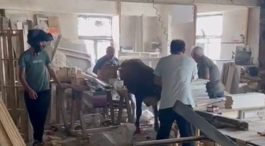 Bursa'da kaçan kurbanlık, sanayiyi birbirine kattı