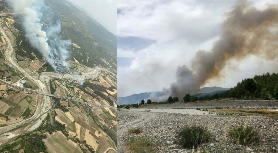 Muğla'da orman yangını