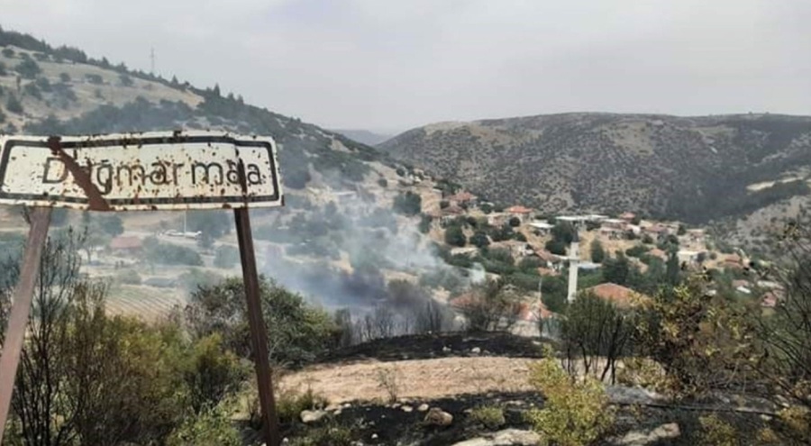 Denizli'de üç ayrı noktada orman yangını çıktı