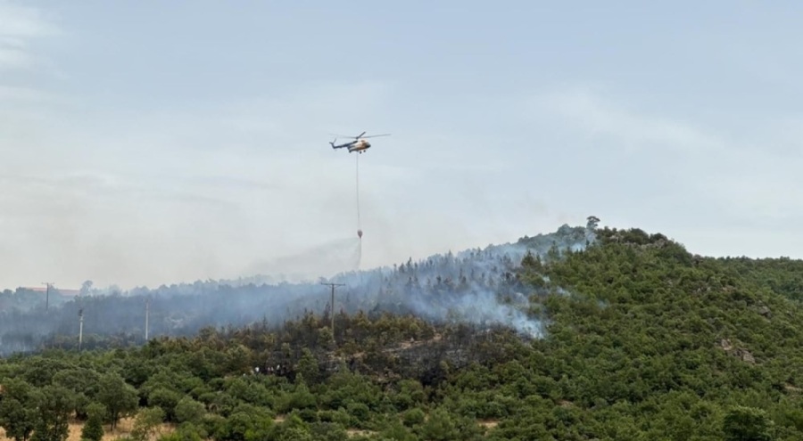 Didim'de yangına müdahale eden uçak göle sert indi