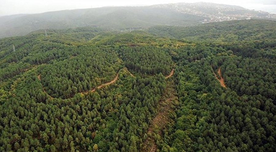 Kastamonu'da ormanlara giriş ve çıkış yasaklandı