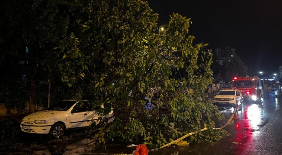 Kayseri'de şiddetli rüzgarı hayatı felç etti!