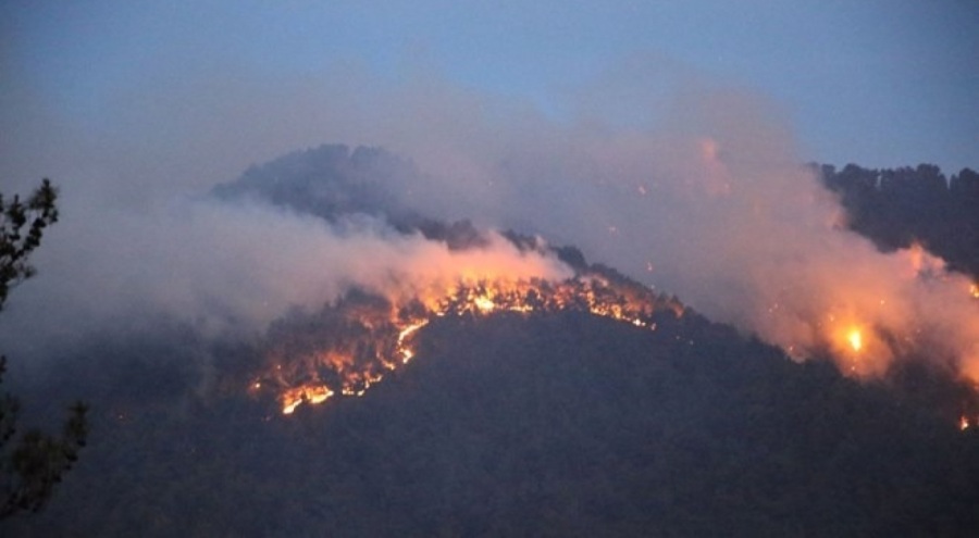 Denizli'de 8 orman yangınlarından 7'si kontrol altına alındı