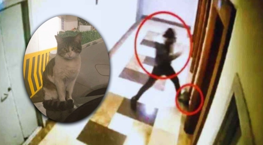 'Eros'un katiline verilen ceza onandı!