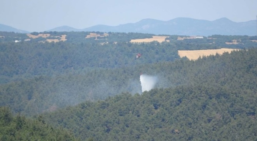Çanakkale Lapseki'de orman yangını!