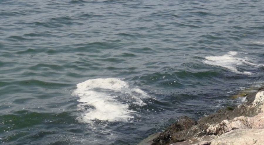 Marmara'da müsilaj şüphesi: Numuneler TÜBİTAK'a gönderildi