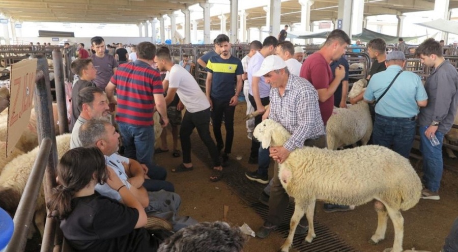Arefe gününde hayvan pazarlığı devam ediyor