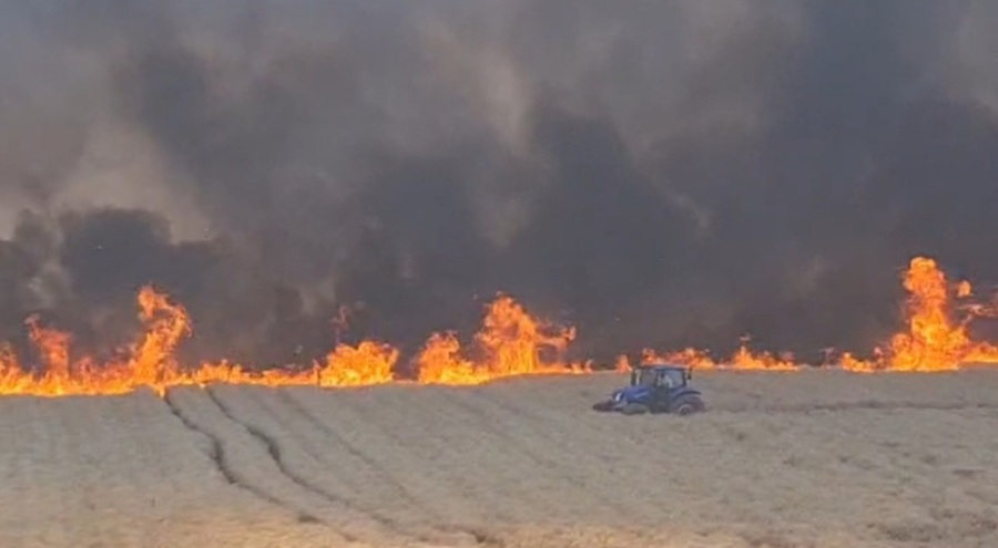 Diyarbakır'da 100 dönüm buğday ekili arazi yandı