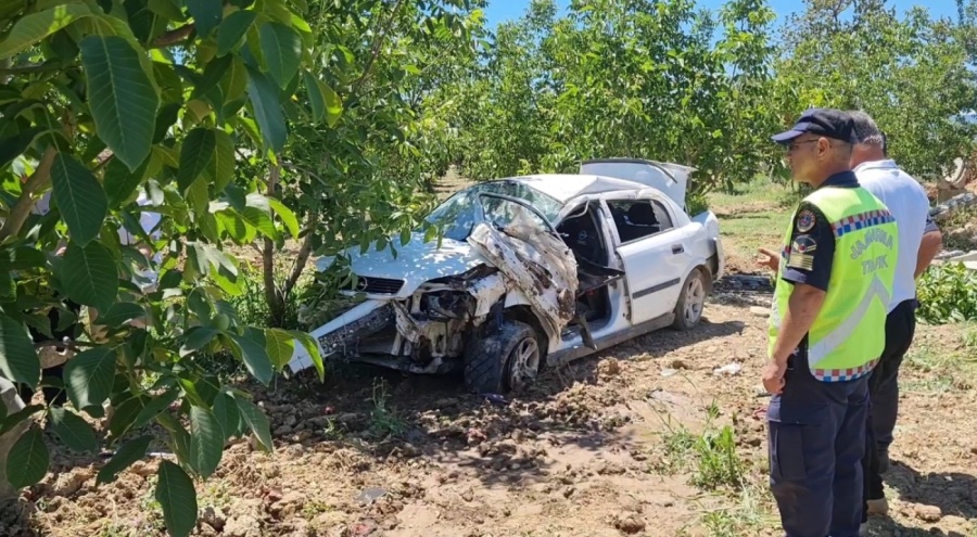 Bursa'da otomobil su kanalına çarptı! Kurbanlık etler tarlaya saçıldı
