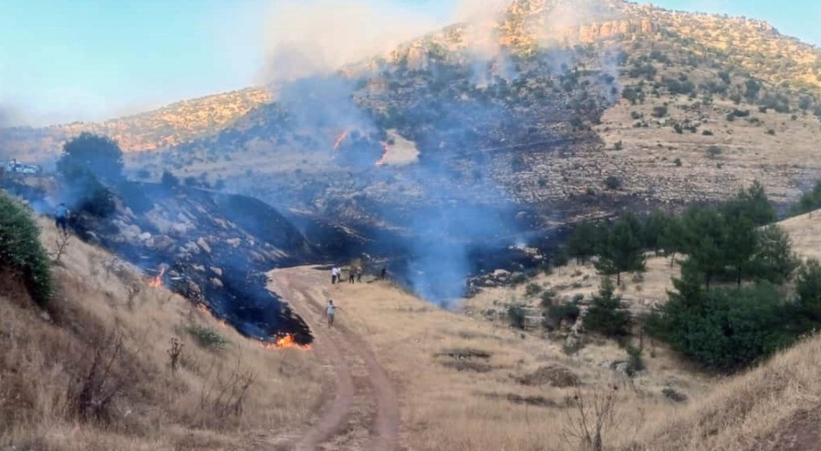 Mardin'de 3 ayrı yerde yangın!