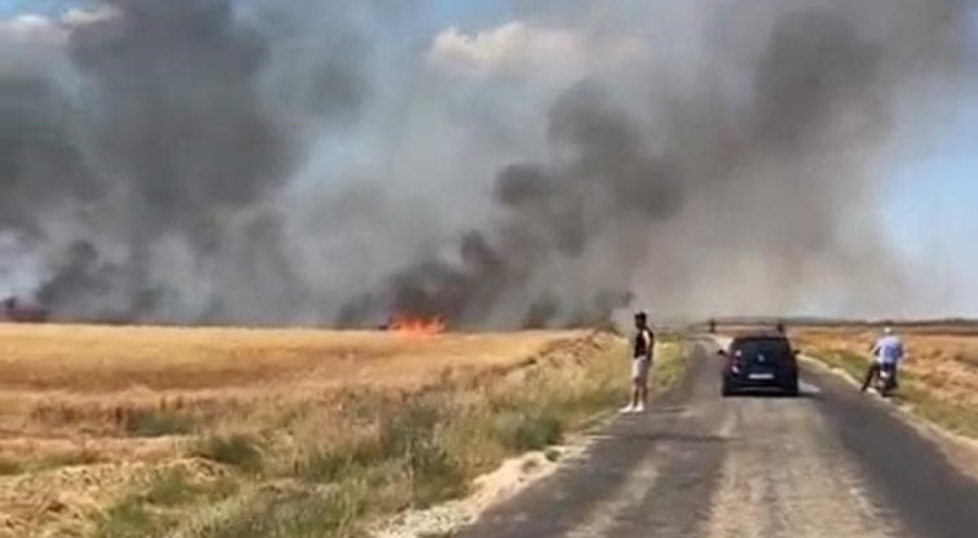 Edirne'deki yangında 20 bin dönümlük alanda 38 ton buğday kül oldu