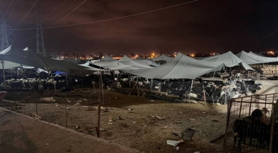 Otomobil hayvan pazarına daldı! 8 yaralı