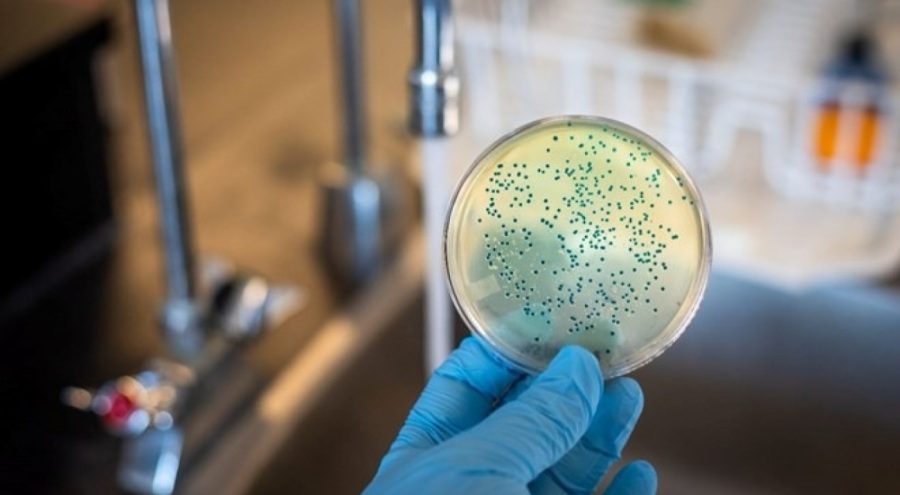 Japonya'da "et yiyen" bakteri vaka sayısı en yüksek seviyesinde