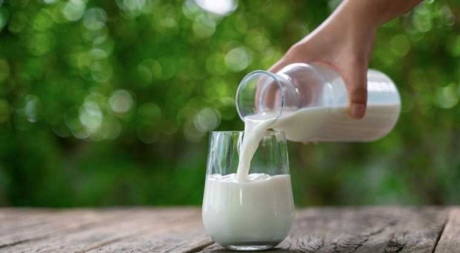 Türkiye'nin dev süt markalarından biriydi! Yarım asırlık firma iflas bayrağını çekti