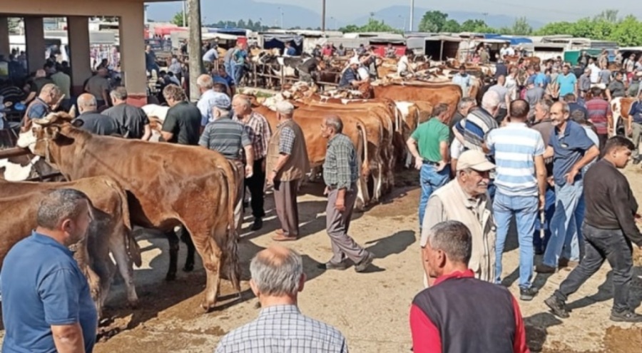 CHP'li Ağbaba: Emeklileri kurban ettiler