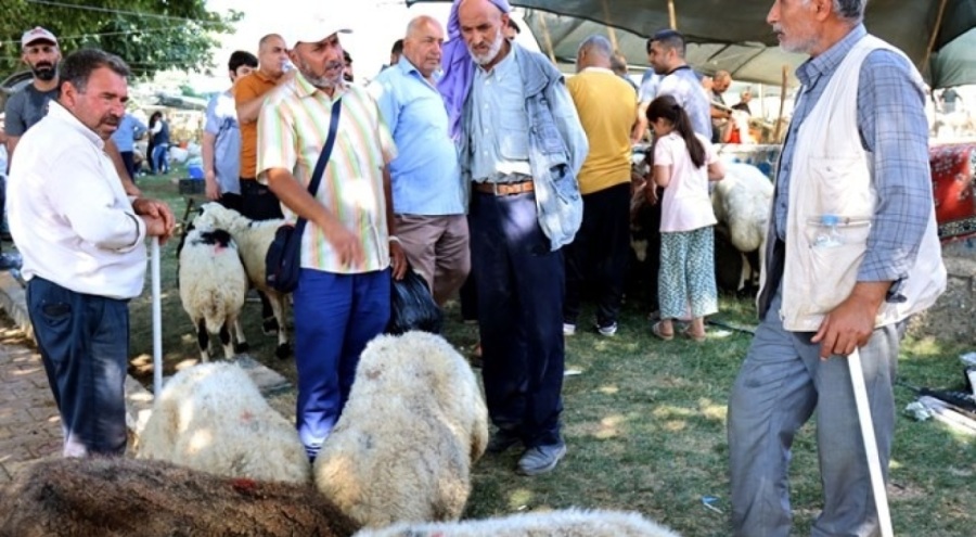 Şanlıurfa'daki hayvan pazarlarında hareketlilik devam ediyor