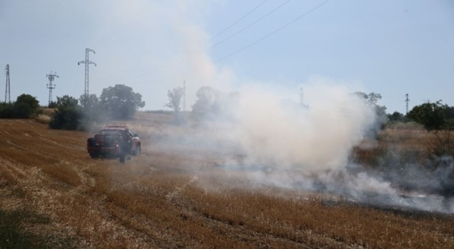 Edirne'de anız yangını