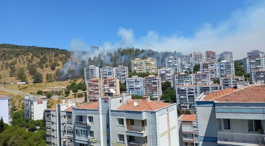 İzmir'de orman yangını