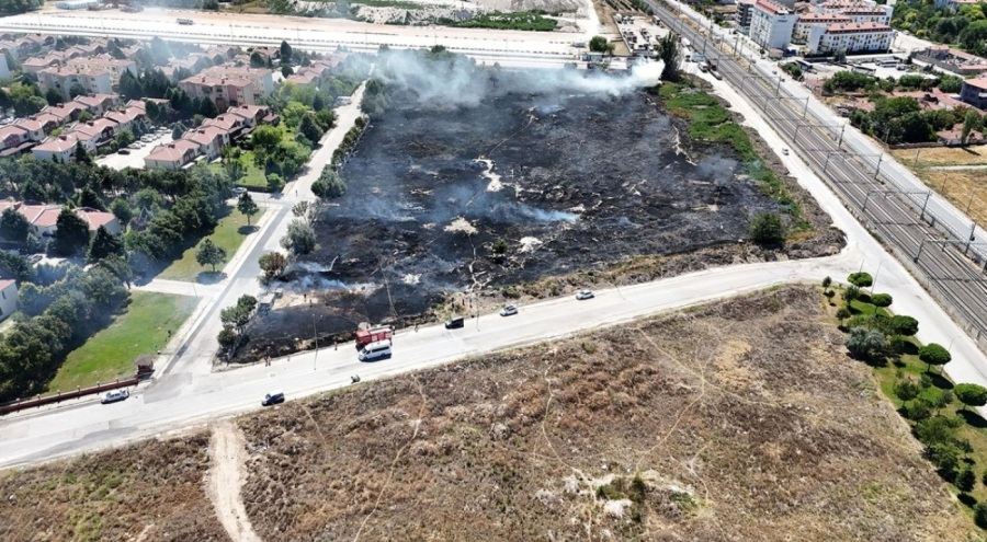 Eskişehir'de yangın: Yaklaşık 40 dönümlük köpek besleme alanı küle döndü