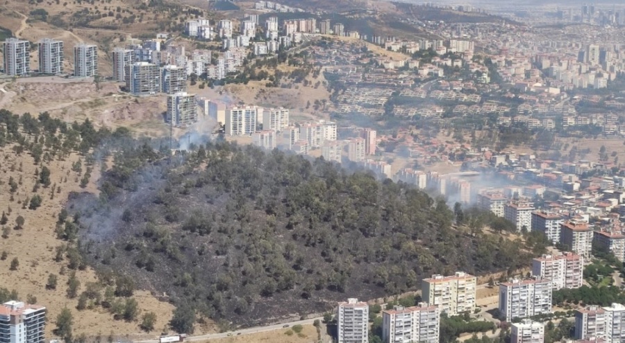 İzmir'in dört ilçesinde çıkan yangınlar korkuttu