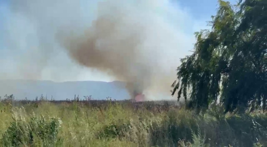 İznik ve Gemlik'te yangın!