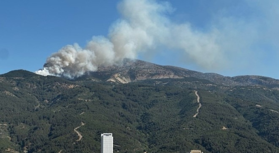 Spil Dağı'nda orman yangını