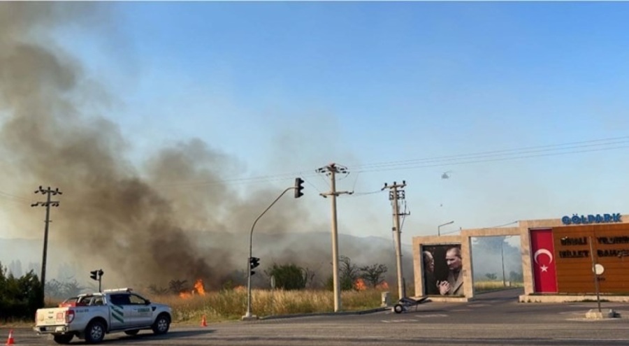 İzmir'de zeytinlik yangını