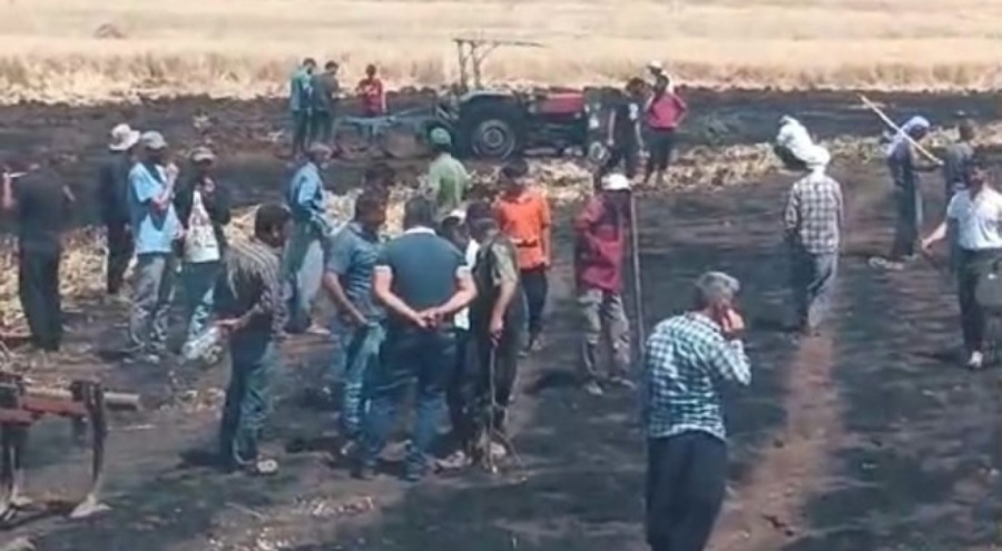 Diyarbakır'ın 2 ilçesinde 200 dönüm ekili buğday ve üzüm bağı yandı