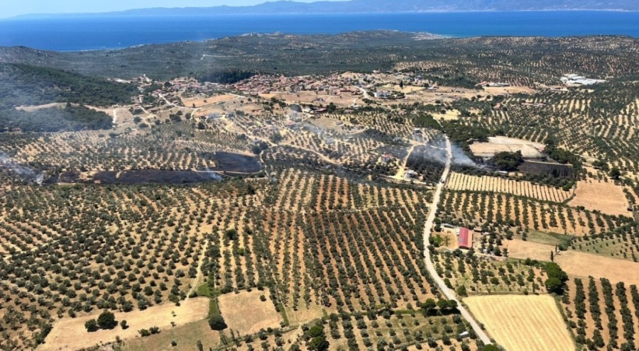 Balıkesir'deki yangında 350 dönüm alan zarar gördü