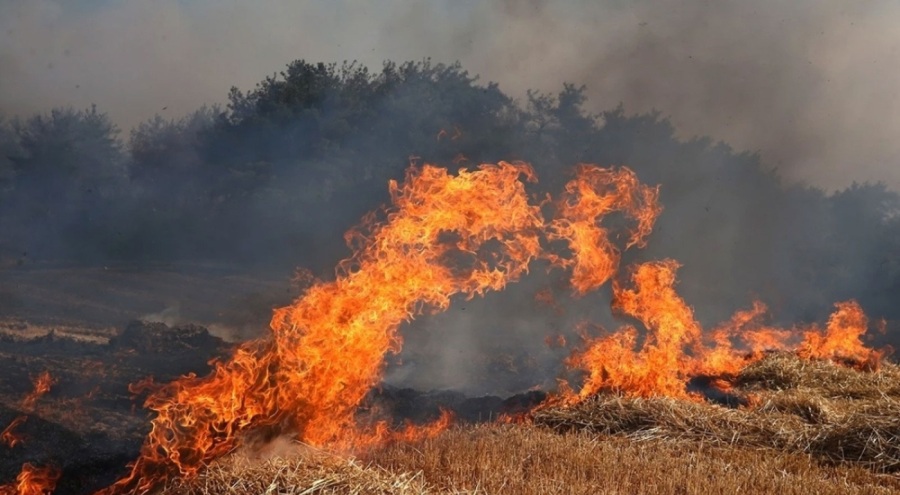 MSB'den Çanakkale'de devam eden orman yangınına ilişkin açıklama