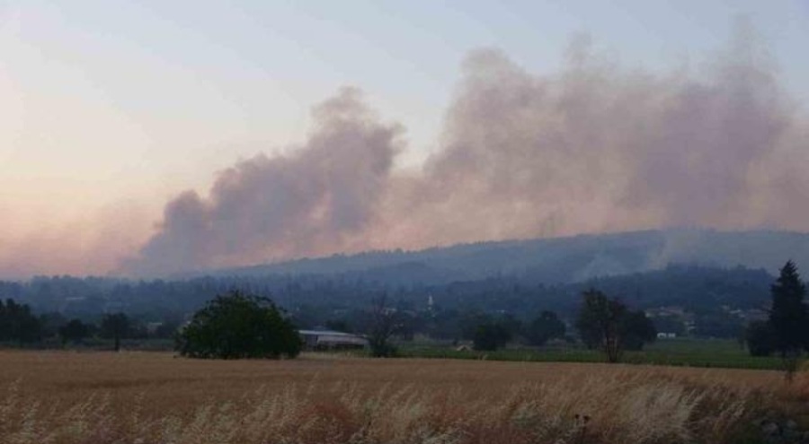Çanakkale'deki orman yangını kontrol altına alındı