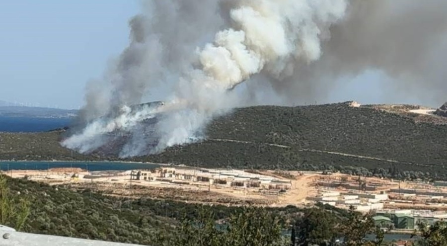 Mordoğan'da orman yangını