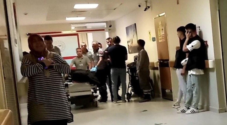 Bursa'da ıhlamur ağacından düşen genç adam hayatını kaybetti