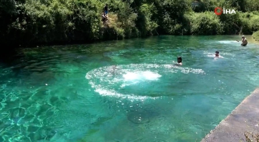 Yüksek voltaja rağmen serinlemek için gölette yüzdüler!