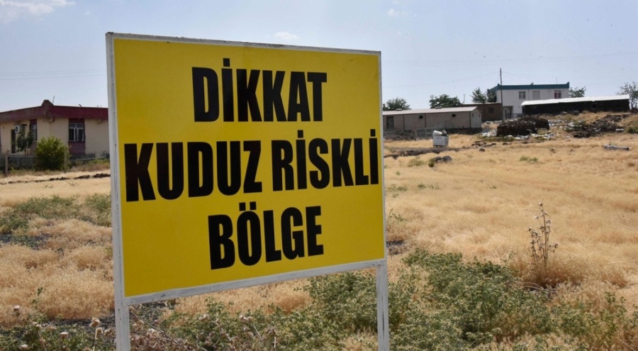 Şanlıurfa'da mahalleye kuduz karantinası