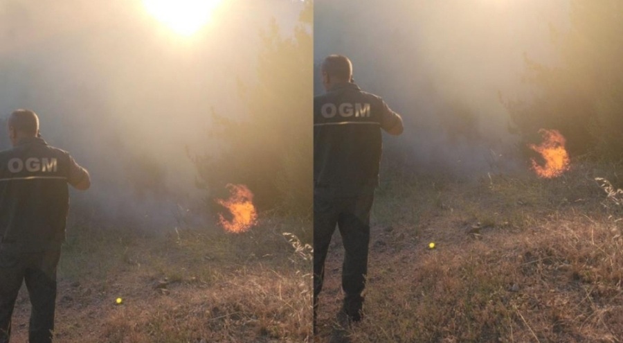 Balıkesir'de orman yangını