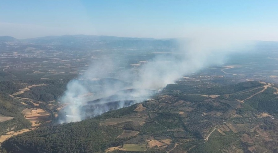 Bergama'daki orman yangını kontrol altında!