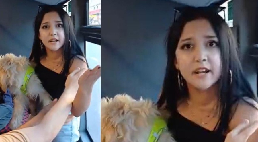 Süs köpeği ile otobüse binen kadını indirdiler!